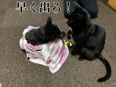 みんな1363