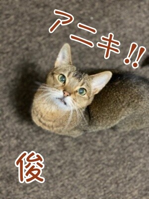 俊476