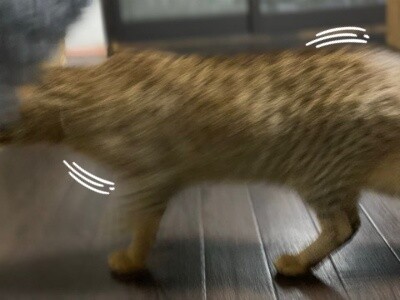 みさき292