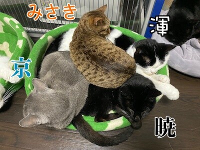 みんな448