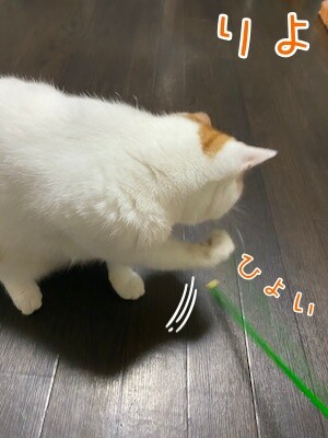 りよ53