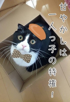 澪9