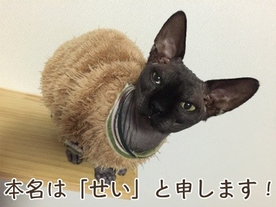 丈5