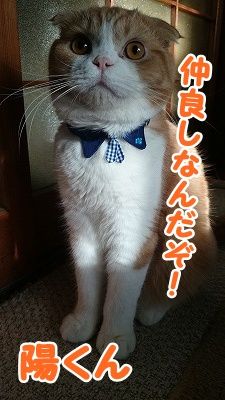 田口家 (8)