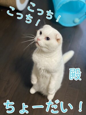 殿1312