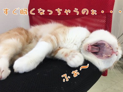 珠若95