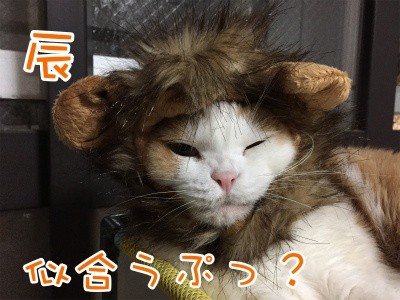 辰199