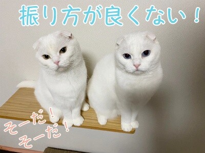 みんな2332