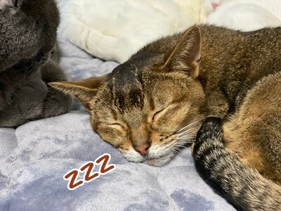 俊23