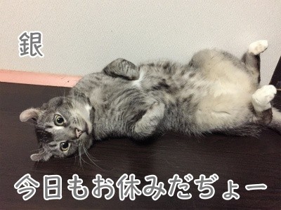 銀110