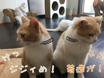 みんな1283