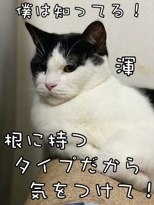 渾270