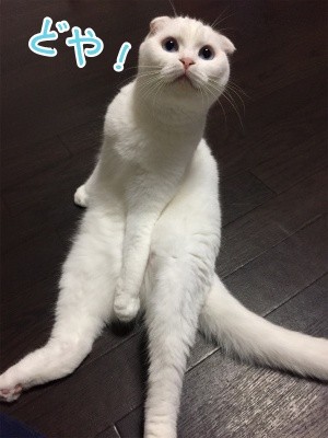 殿102