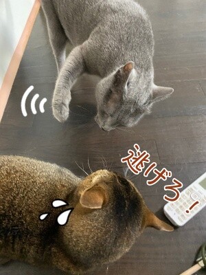みんな2081
