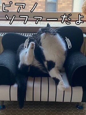 茶牛267