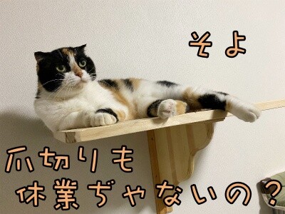 そよ228