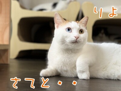 りよ196