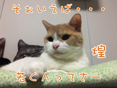 煌91
