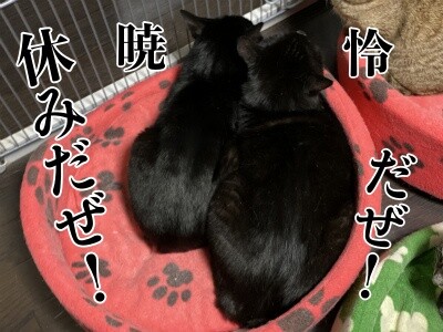 みんな1718