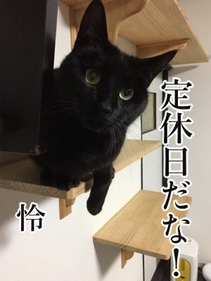 怜10