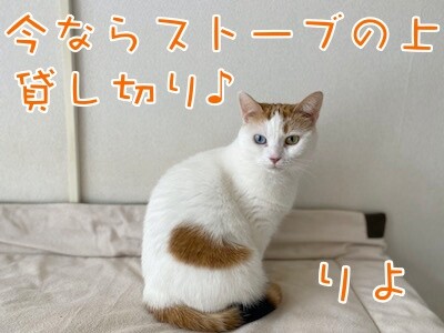 りよ360