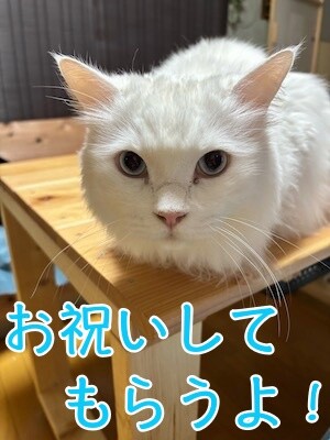 てん24