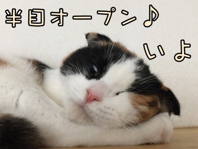 いよ41