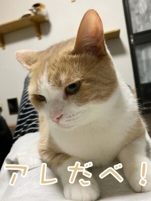 楓835