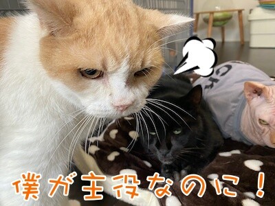 みんな1030