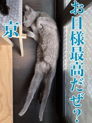 京378