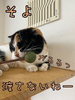 その他51