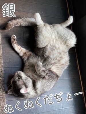 銀358