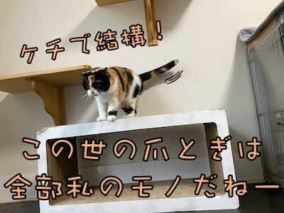 そよ328