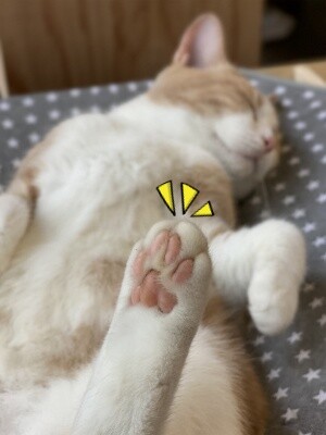 楓671