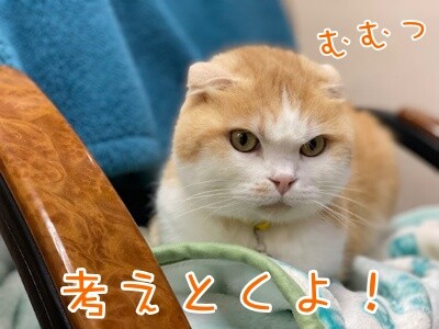 珠若809