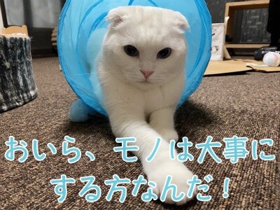 殿736