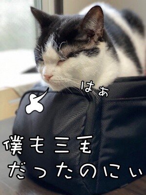 渾234