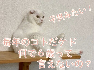 ひめ346