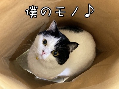珠若503