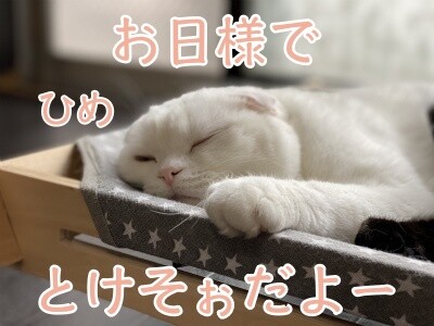 ひめ213