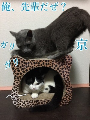 みんな913