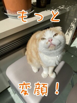 珠若554