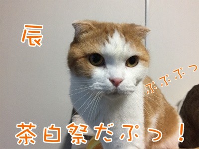 辰221