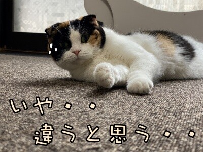 いよ290