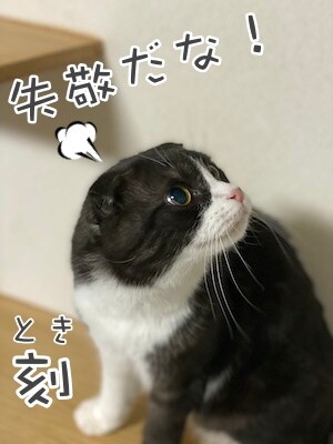 刻14