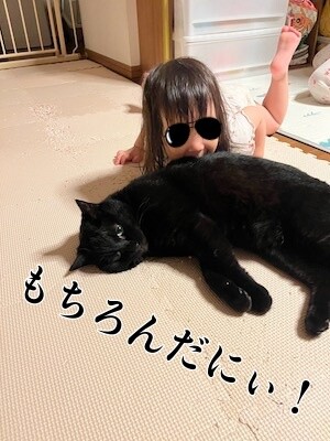 夢269