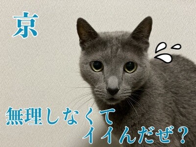 京407