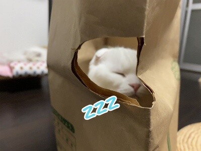 殿681