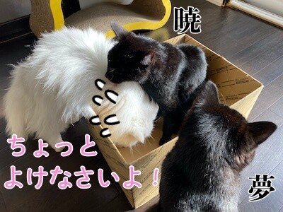 みんな8