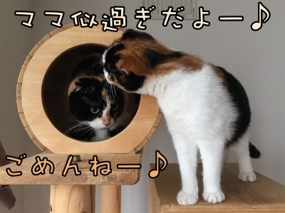 みんな834